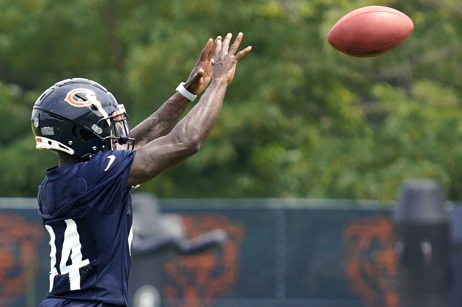 Bears Football